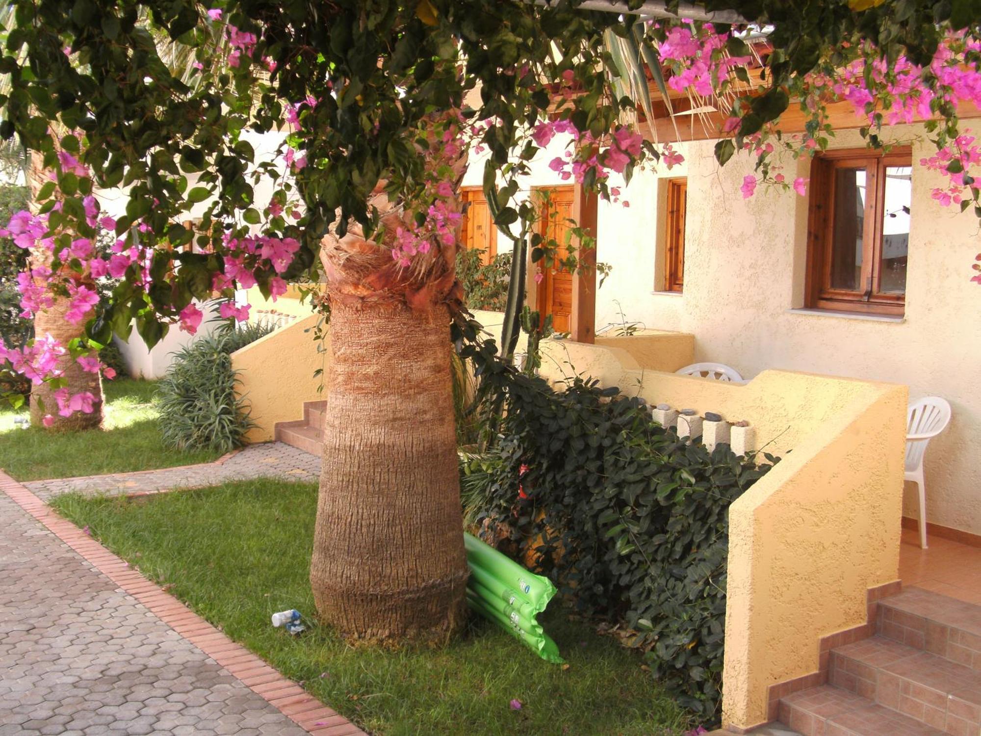 Lia Sofia Apartments Stalida Exterior photo