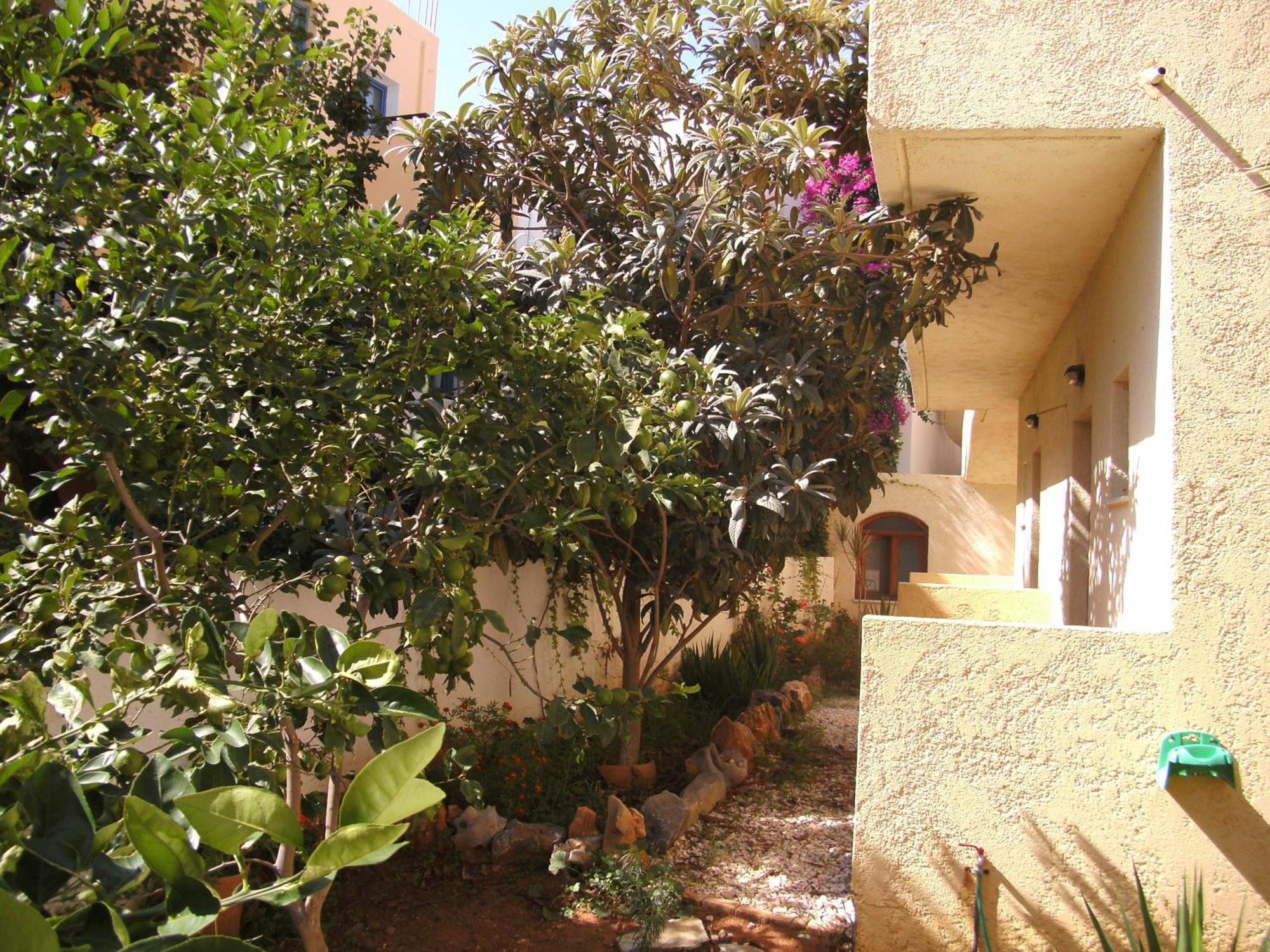 Lia Sofia Apartments Stalida Exterior photo